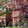 札幌市営住宅の短期募集とは?