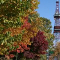 【抽選結果】札幌市営住宅の中期募集について 2014年9月
