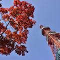 【抽選結果】札幌市営住宅の中期募集について 2019年9月