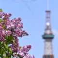 【定期募集・短期募集】札幌市営住宅の募集スケジュール2020年度