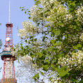 2020年度(令和2年)「5月短期募集」募集中止について