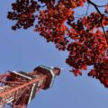 【募集情報】道営住宅の募集について 2022年10月
